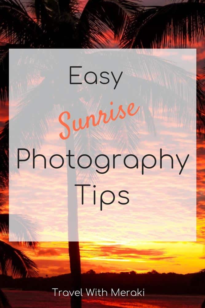 Easy Photography Tips 