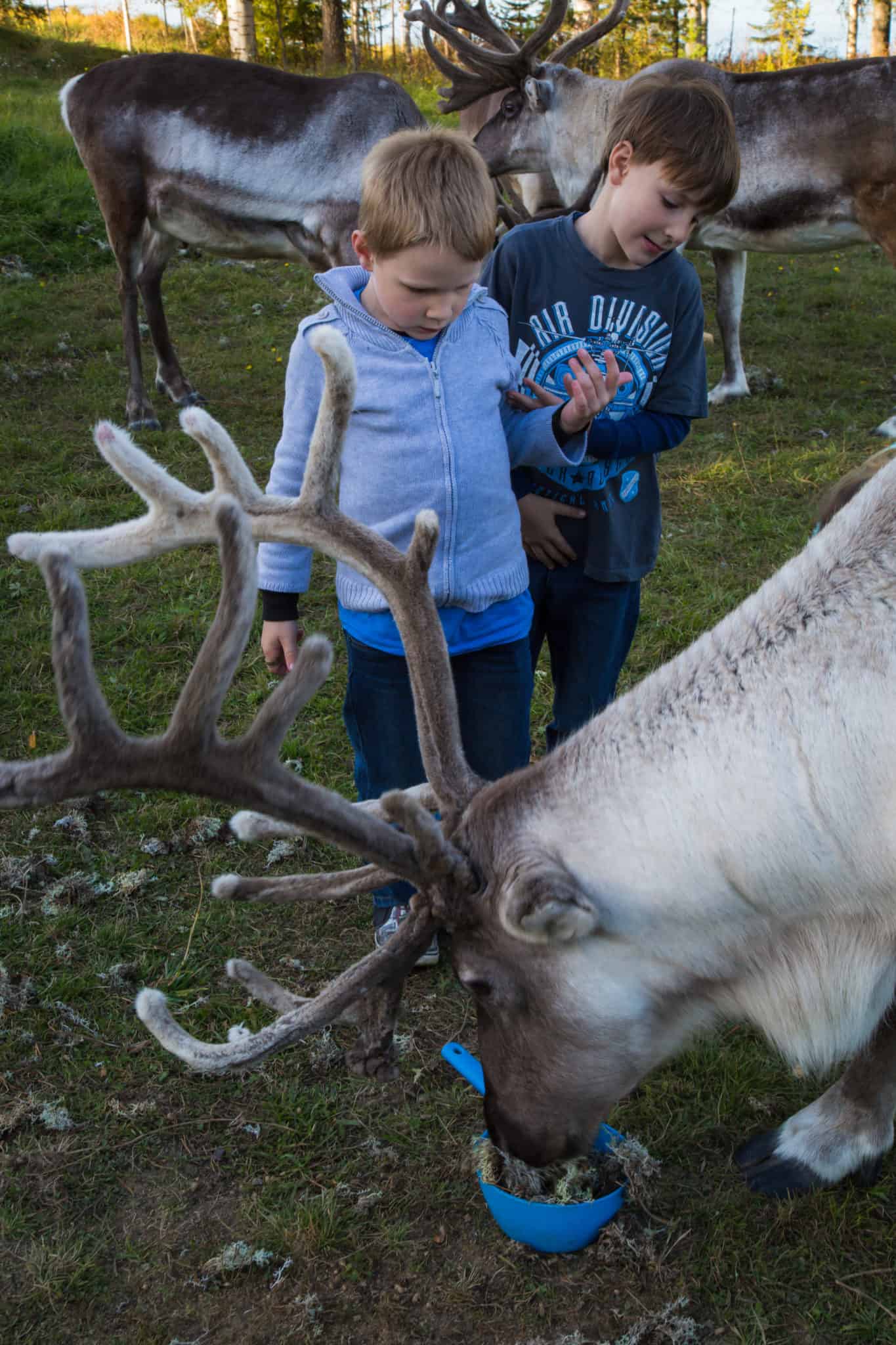 Travel with Meraki - Finland - Lapland - Santa