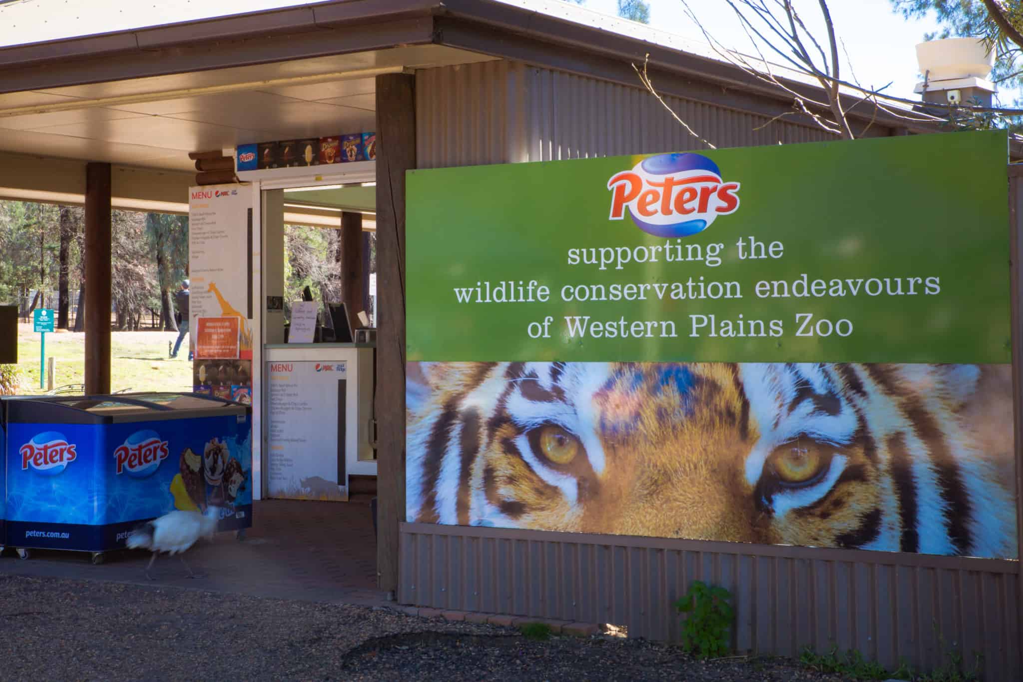 Travel With Meraki- Taronga Western Plains Zoo Dubbo Australia Conservation